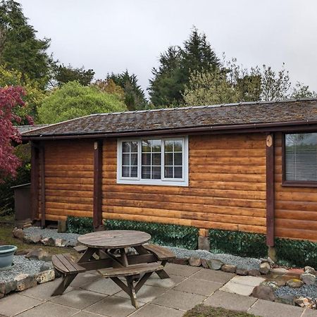 Snowdonia Log Cabin 2 Villa Trawsfynydd Exterior foto
